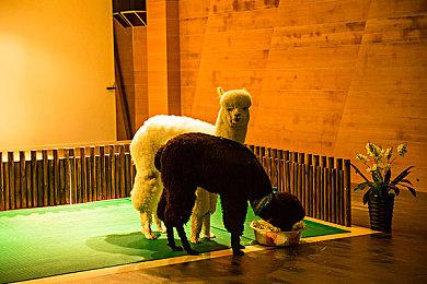 《最后纪元》开发者正在调查无法登录和连接问题